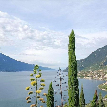 Centro Vacanze La Limonaia Limone sul Garda Exteriér fotografie